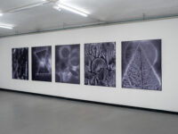 ÜBER NACHT Ausstellungsansicht Fotogalerie Wien