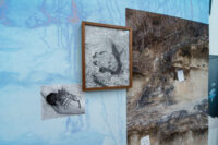 NARRATIVE I - Ausstellungsansicht Fotogalerie Wien