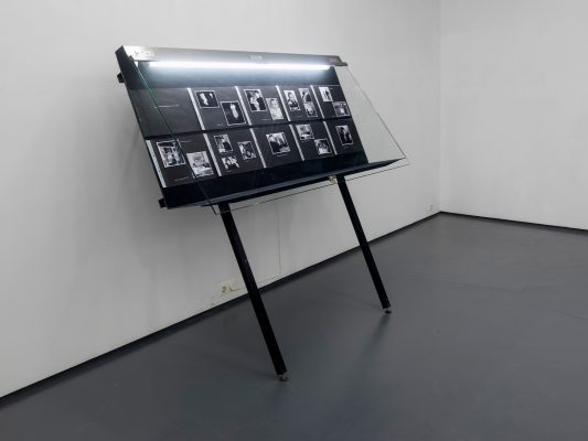 BIOGRAFIE I  Ausstellungsansicht Fotogalerie Wien