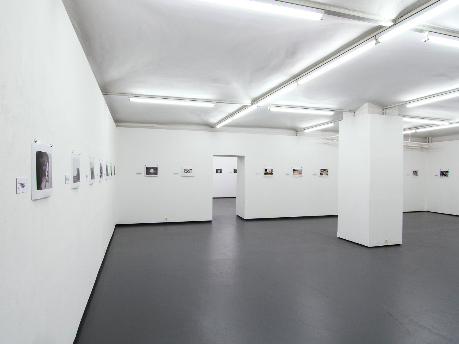 WERKSCHAU XVIII - INGEBORG STROBL   Ausstellungsansicht Fotogalerie Wien