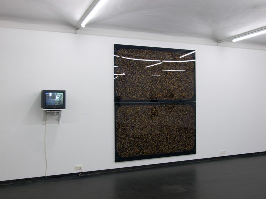 PERFORMANCE II Ausstellungsansicht Fotogalerie Wien