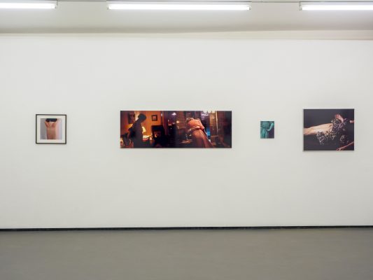 WERKSCHAU XXVI Heidi Harsieber Ausstellungsansichten Fotogalerie Wien