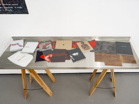 HYDRA+FOTOGRAFÍA, MEXICO CITY ZU GAST BEI FOTOGALERIE WIEN Ausstellungsansicht Fotogalerie Wien 