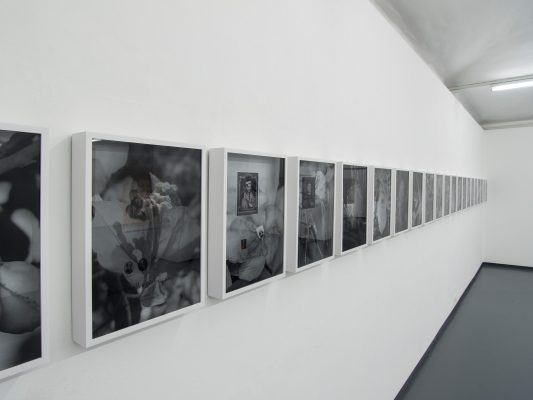 ANEIGNUNG III Ausstellungsansicht Fotogalerie Wien