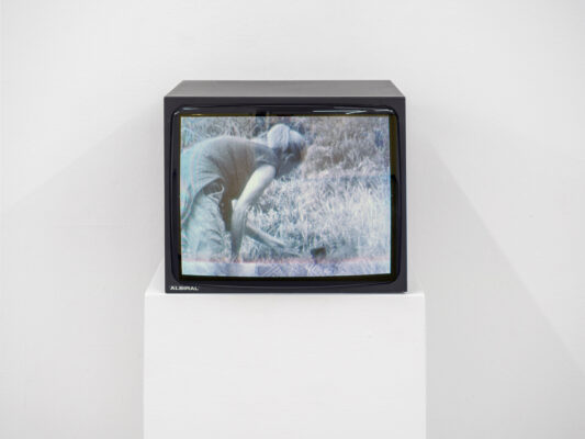 Die Grüne Kammer - Ausstellungsansicht Fotogalerie Wien