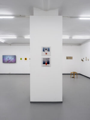 Die Grüne Kammer - Ausstellungsansicht Fotogalerie Wien