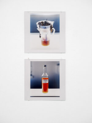 Die Grüne Kammer - Ausstellungsansicht Fotogalerie Wien