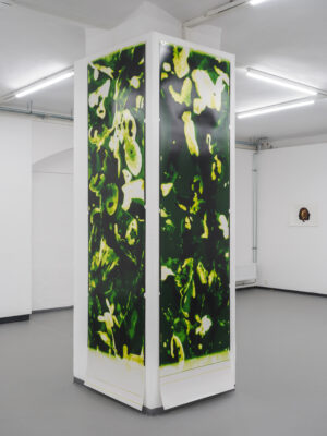 Die Grüne Kammer - Ausstellungsansicht Fotogalerie Wien