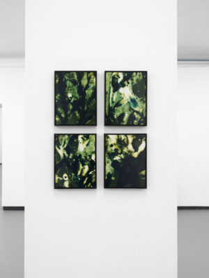 Die Grüne Kammer - Ausstellungsansicht Fotogalerie Wien