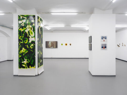 Die Grüne Kammer - Ausstellungsansicht Fotogalerie Wien