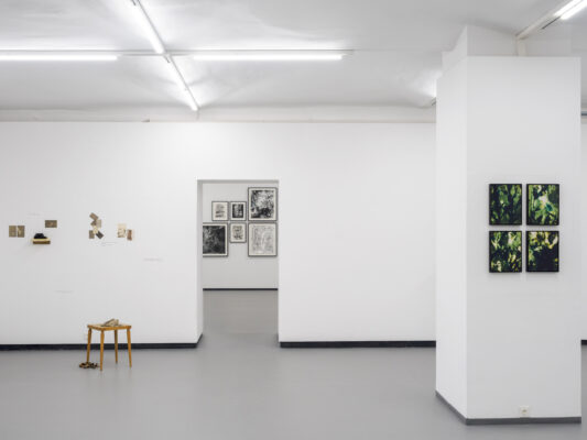 Die Grüne Kammer - Ausstellungsansicht Fotogalerie Wien