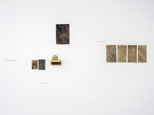 Die Grüne Kammer - Ausstellungsansicht Fotogalerie Wien