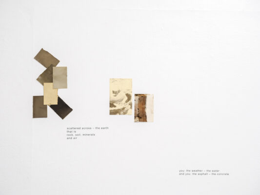 Die Grüne Kammer - Ausstellungsansicht Fotogalerie Wien