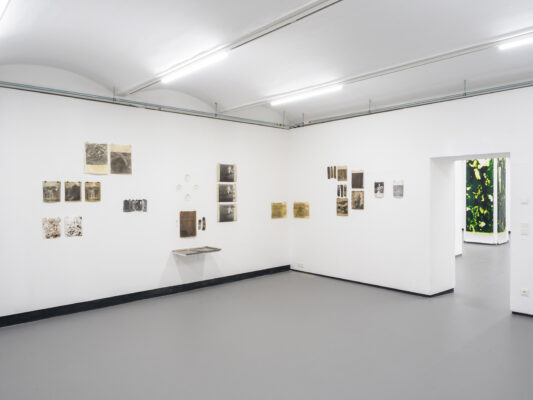 Die Grüne Kammer - Ausstellungsansicht Fotogalerie Wien