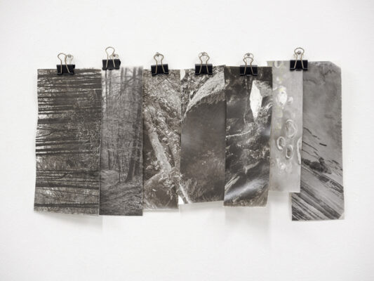 Die Grüne Kammer - Ausstellungsansicht Fotogalerie Wien