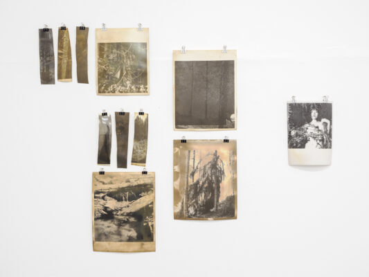 Die Grüne Kammer - Ausstellungsansicht Fotogalerie Wien