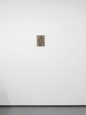 Die Grüne Kammer - Ausstellungsansicht Fotogalerie Wien