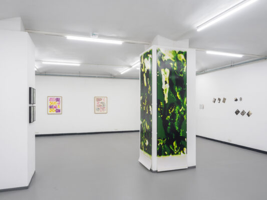 Die Grüne Kammer - Ausstellungsansicht Fotogalerie Wien