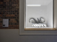 HYDRA+FOTOGRAFÍA, MEXICO CITY ZU GAST BEI FOTOGALERIE WIEN Ausstellungsansicht Fotogalerie Wien 