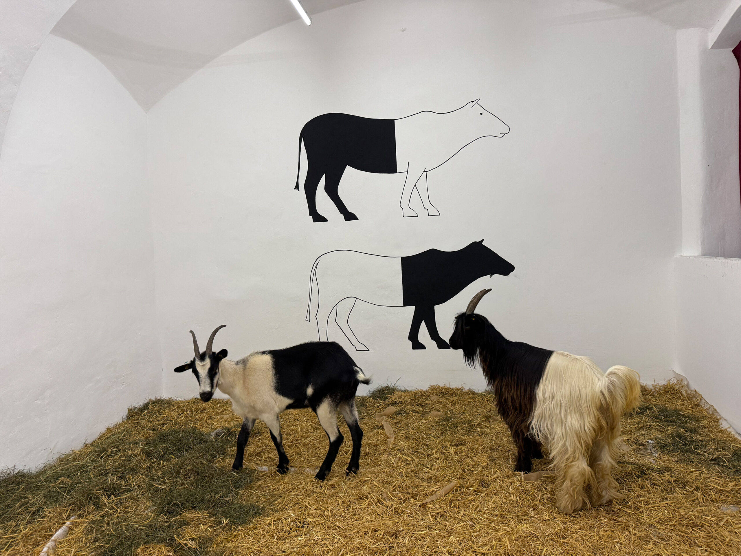 "When Form Becomes Real", 2025, City Galerie Wien