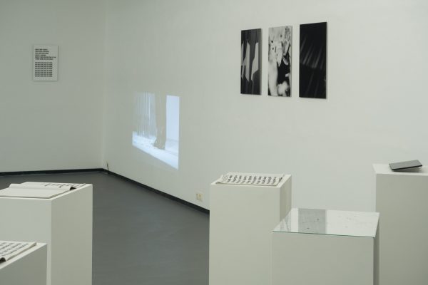 SOLO VIII - CHRISTINA WERNER  Ausstellungsansichten Fotogalerie Wien