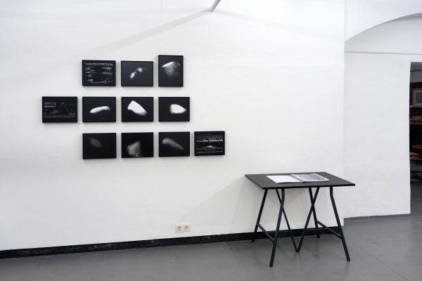 NURTURE Ausstellungsansicht Fotogalerie Wien 