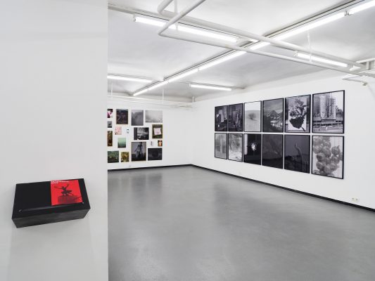 PROPELLER Ausstellungsansicht Fotogalerie Wien 