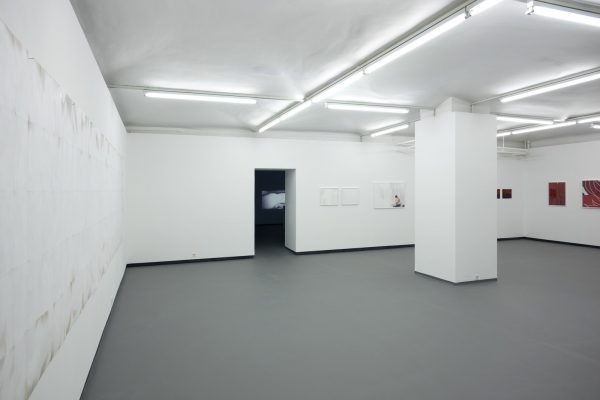WERKSCHAU XXI - MARIA HAHNENKAMP   Ausstellungsansichten Fotogalerie Wien