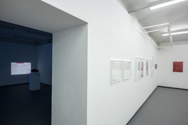WERKSCHAU XXI - MARIA HAHNENKAMP   Ausstellungsansichten Fotogalerie Wien
