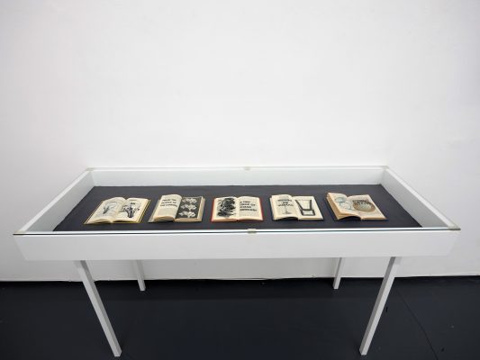 TEXT UND BILD III  Ausstellungsansicht Fotogalerie Wien 