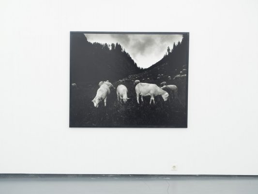 TEXT UND BILD III  Ausstellungsansicht Fotogalerie Wien 