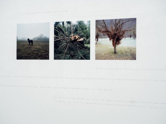 TEXT UND BILD III  Ausstellungsansicht Fotogalerie Wien 