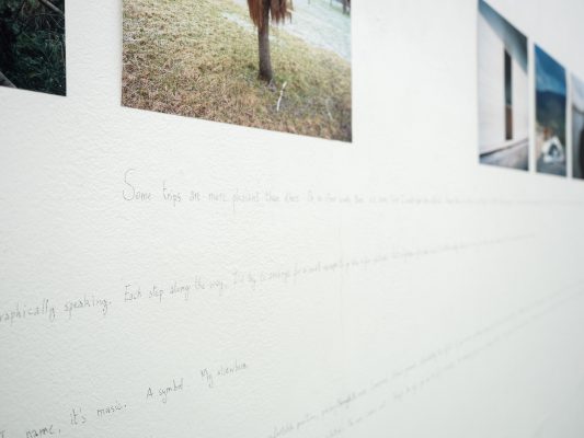 TEXT UND BILD III  Ausstellungsansicht Fotogalerie Wien 