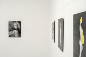 Propeller III - Ausstellungsansicht Fotogalerie Wien