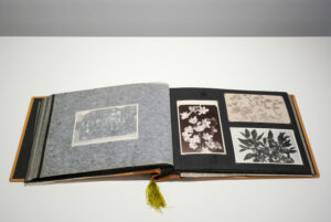 Propeller III - Ausstellungsansicht Fotogalerie Wien