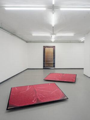 VERLORENE FORM - Ausstellungsansicht Fotogalerie Wien