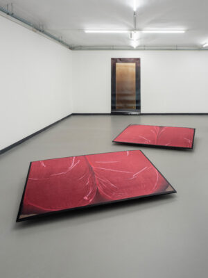 VERLORENE FORM - Ausstellungsansicht Fotogalerie Wien