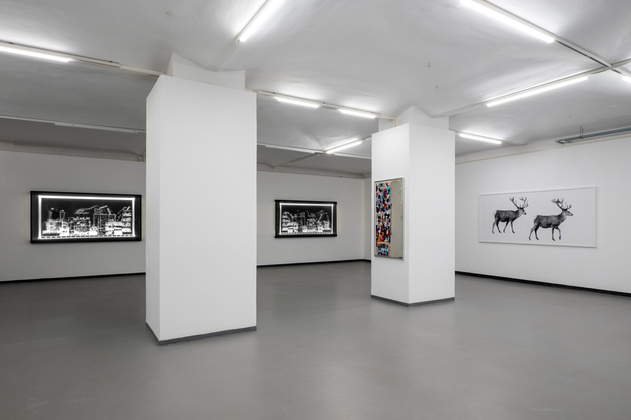 Ausstellungsansicht Fotogalerie Wien WERKSCHAU XXXI - Gabriele Rothemann