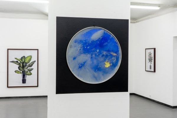 PAS DE DEUX Ausstellungsansicht Fotogalerie Wien